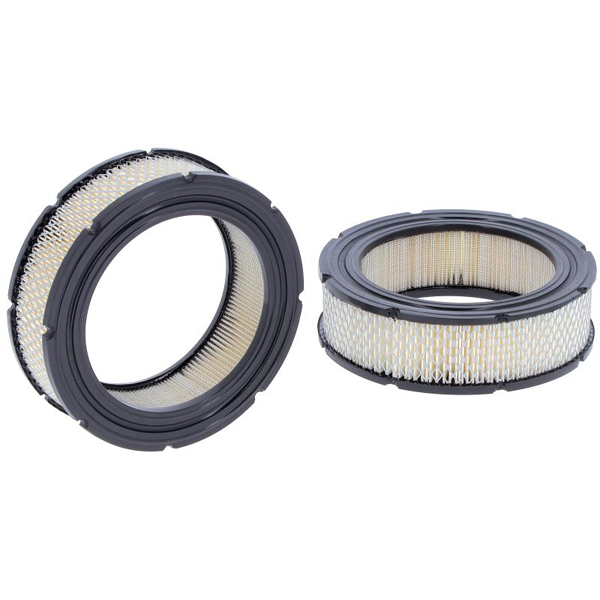 FILTER ZRAKA B&S 33270796