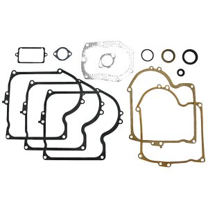 SET BRTVI BRIGGS&STRATTON 391807